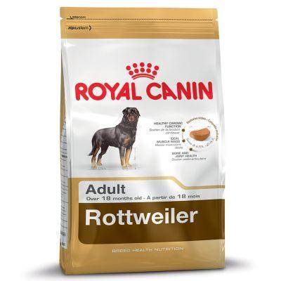 Royal Canin Rottweiler Adult at MiniPetsWorld - Rottweiler Adult Nutrition