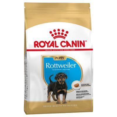 Royal Canin Rottweiler Puppy & Junior at MiniPetsWorld - Rottweiler Puppy Nutrition