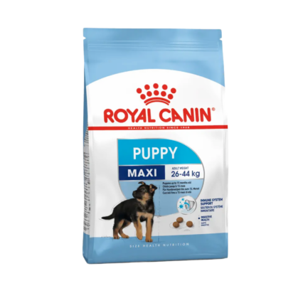 Royal Canin Maxi Puppy dry dog food for large breed puppies
