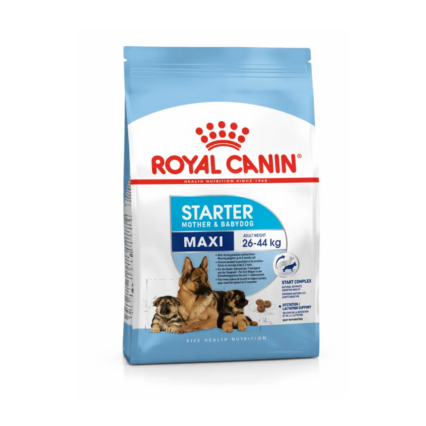 Royal Canin Maxi Starter Mother and Babydog Dry Dog Food