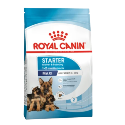 Royal Canin Maxi Starter at MiniPetsWorld - Maxi Breed Puppy Nutrition