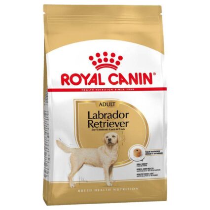 Royal Canin Labrador Adult Dog Food at MiniPetsWorld - Labrador Nutrition