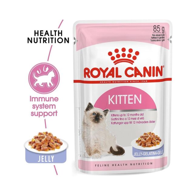 Royal Canin Wet Food For cat -- kittens - Mini Pets World