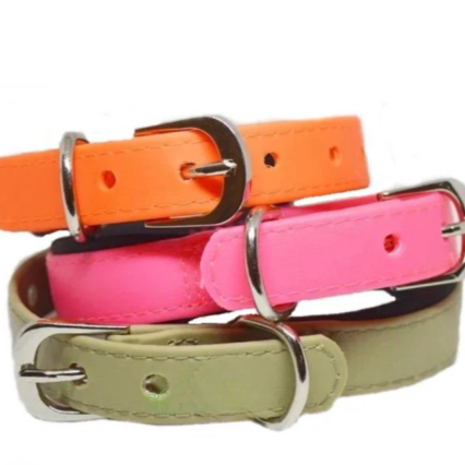 Small collars for Dog and Puppies - Mini Pets World