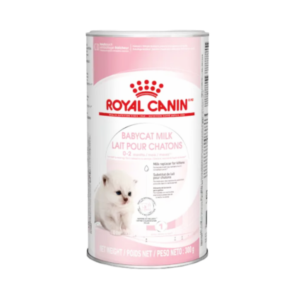 Royal Canin Babycat Milk 300g for newborn kittens
