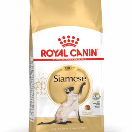 Royal Canin Siamese Cat Food at MiniPetsWorld - Siamese Cat Nutrition