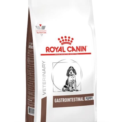 Royal Canin Gastro Puppy Dog Food at MiniPetsWorld - Digestive Health Dog Nutrition