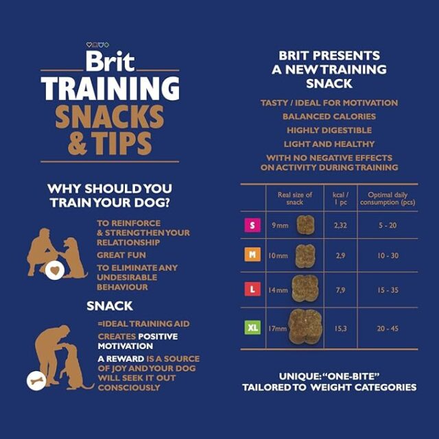 BritDogTrainingChart