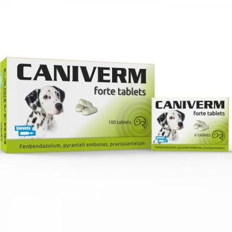 Caniverm Forte Deworming Tablet for dogs and cats – effective parasite control.