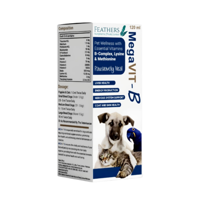 MegaVIT-B pet vitamin tonic for cats and dogs – immune support, healthy coat, bone strength