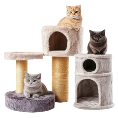 240_F_1412334683_3PwKEjpIEp5SzEkAErgaZ8CMfMJtCCfN