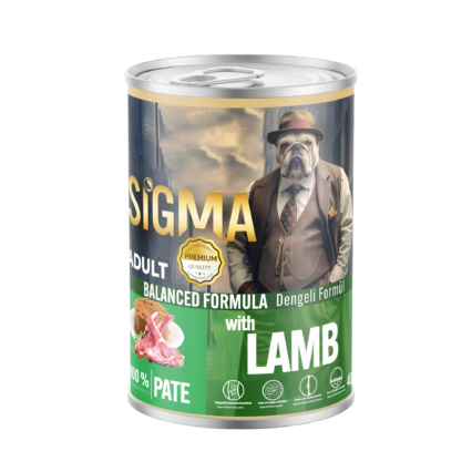 Sigma adult wet dog food lamb chunks in gravy 400g