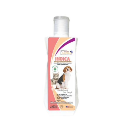 Alpha Indica anti bacterial anti fungal shampoo for cats and dogs 350ml