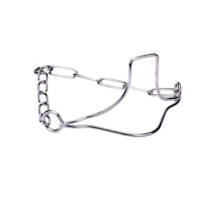 Stainless Steel Dog Training Choke Collar for Show and Obedience