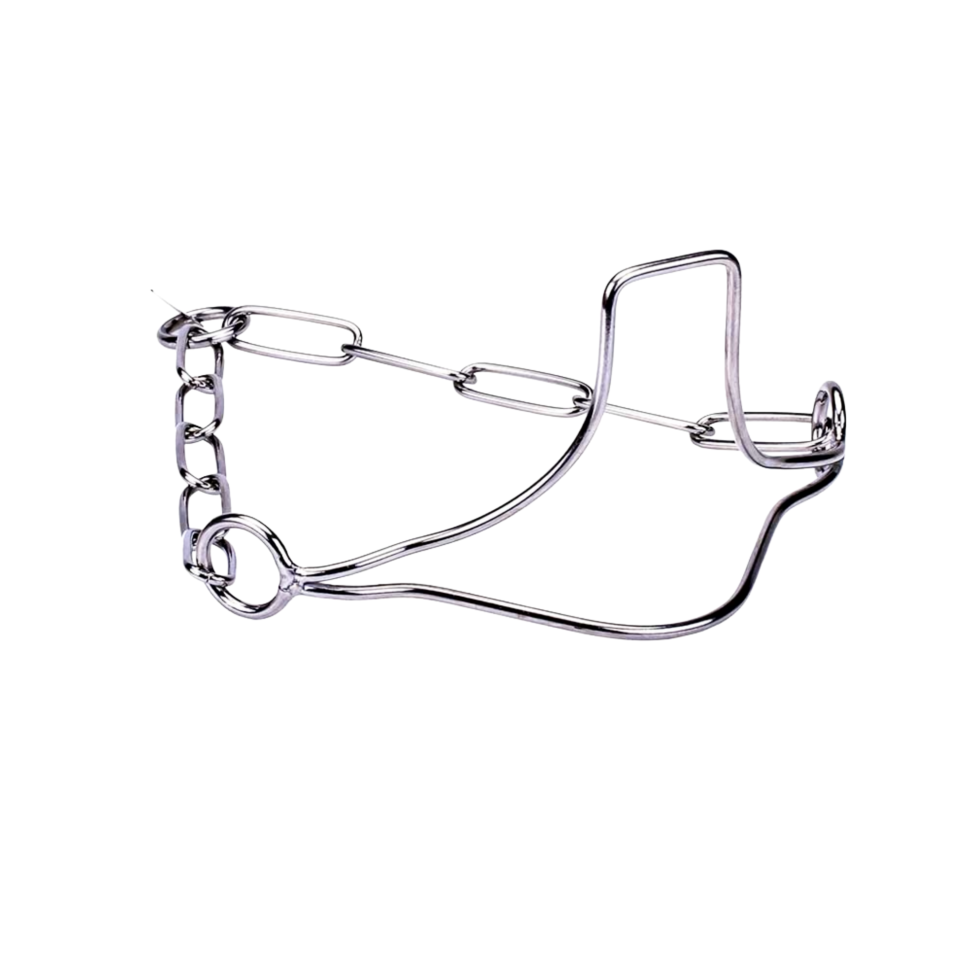 stainless-steel-dog-training-choke-collar-mini-pets-world Stainless Steel Dog Training Choke Collar for Show and Obedience