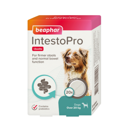 Beaphar IntestoPro Tablets for Medium and Large Dogs