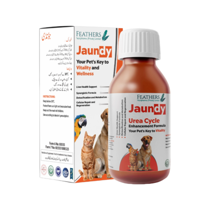 Feathers Jaundy Liver Support Syrup for Dogs and Cats 120ml